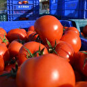 Kasım ayının zam şampiyonu domates, fiyatı en fazla düşen ürün ise portakal