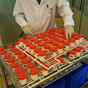 Köy yoğurdu bilimle buluştu: TÜBİTAK 3 ay bozulmayan yoğurt yaptı