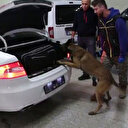 Bolu'da 121 kilo esrarla yakalanan polis tutuklandı