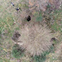 Kocaeli'de define avcıları mahalleyi köstebek yuvasına çevirdi