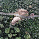 Büyükada’da gizemli çukur hareketliliği: Çok sayıda çevik kuvvet polisi sevk edildi