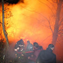 Karadeniz'de 5 ilde 71 noktada yangınlar sürüyor: 22 ilden gelen ekipler yangınlara müdahale ediyor