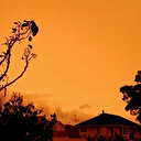 Avustralya'da kuvvetli rüzgar yangınlara müdahaleyi güçleştiriyor: Hava sıcaklığı 48,9 dereceye kadar ulaştı