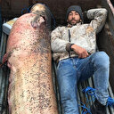 120 kiloluk yayın balığının yanında yattılar: Römorkla taşıdılar