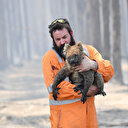 Avustralya'daki yangınların kül ettiği alan 10 milyon hektara yaklaştı