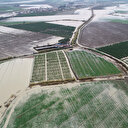 Adana'da tarım arazileri felaketin eşiğinden döndü
