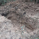 Arnavutköy'de ormanda cesedi bulunan kadını oğlunun öldürdüğü ortaya çıktı