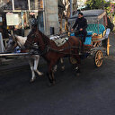 Adalar'daki faytonlar İBB'ye geçti: Plaka başına 300 bin lira ödenecek