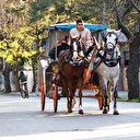 Adalarda fayton tarih oluyor: Her aileden bir kişi İBB'de işe alınacak