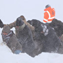 Van'daki çığ felaketinden çok acı haber: 33 kişi hayatını kaybetti