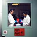 Suudi Arabistan ve Vietnam’da kuş gribi paniği