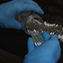 Emlakçıda bulundu kimse sahip çıkmadı: 314 tüp kobra zehri!