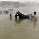 Atlar ve mandaların kaplıca keyfi
