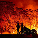 Yangınlar Avustralya ormanlarının yüzde 21’ini yok etti