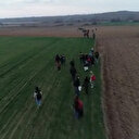 Edirne'de göçmenler Yunanistan sınırına yürüyor