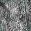 Bahar Kalkanı'ndan ilk görüntüler geldi: Rejim hedefleri böyle vuruldu