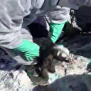 8 gün sonunda enkaz altından mucize kurtuluş