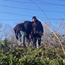 Göçmenler tel çitleri keserek Yunanistan'a geçti