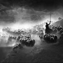 National Geographic'de birinci olan tek Türk kadın fotoğrafçı şimdi de 2020 Sony Dünya Fotoğrafçılık Yarışması'nda