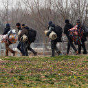 Edirne'den 138 bin 647 göçmen Yunanistan'a geçti