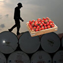 Rusya'ya petrol darbesi: 1 varil petrol ile 1 kasa domates alınıyor