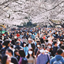 Japonya'da virüs dinlemeden sokağa akın ettiler