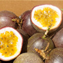 Koronavirüs salgınından sonra olağanüstü talep patlaması yaşıyor