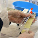 Sağlık Bakanlığı açıkladı: 'İmmün plazma temini'ne ilişkin kriterler belirlendi