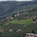 Ordu’da bir mahalle karantinaya alındı
