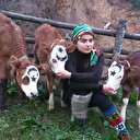 Türkiye'nin 'Heidi'si Hamdu Sena 'Milli Dayanışma Kampanyası'na 3 buzağı bağışladı