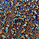 Koronavirüsün nasıl yayıldığı ilk kez görüntülendi