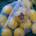 Vatandaş şikayet etti: Poşette çürük sebze satışına ceza yağdı