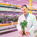 Akıllı fabrikayla kesintisiz tarım: Gıda krizi önlenecek