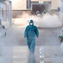 Koronavirüs ile ilgili korkunç iddia: Vuhan’daki mağaralarda yarasalar üzerinde deneyleri ABD finanse etti