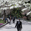 İran'da salgın nedeniyle kapatılan park ve bahçeler bir ay sonra yeniden açıldı