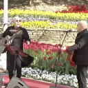 İstanbul Valiliği'nden Gülhane Parkı'nda konser