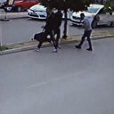 Silahla yaraladıkları şahsı öldüresiye tekmelediler