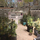 Evde yüzlerce bardakta uyuşturucu yetiştirdi