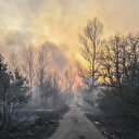 Çernobil yangını bölgenin bitki örtüsünün yüzde 5’ini yok etti