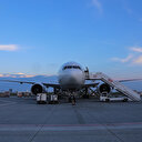 Filistin Sağlık Bakanlığı, Türkiye'nin gönderdiği tıbbi malzemeyi teslim aldı