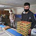 Yumurta üreticileri talebe yetişemiyor