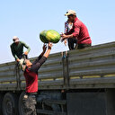 Karpuz üreticisini sevindiren karar: 300 dolara çıkarıldı