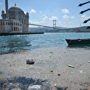 Beşiktaş Sahili çöplüğe döndü: Çöp torbaları görenlerin tepkisine neden oldu