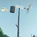 Hindistan'da çekirge istilasına karşı sıra dışı yöntem