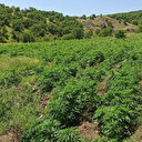 Diyarbakır’da terörün finans kaynağına büyük darbe, son 6 ayın en yüksek miktarı yakalandı