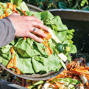 Çöpe atılan gıdaya bakanlık dur dedi:  Yıllık 18,8 milyon ton gıda çöpe gitmeyecek