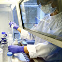 Koronavirüs tanısı, çok erken yapılan RT-PCR testlerinde hatalı olarak negatif çıkabilir