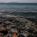 Bu kez Caddebostan: Deniz kıyısı pislik içinde