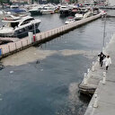 İstanbul Boğazı'nda biriken çöp yığınlarına vatandaş isyan etti