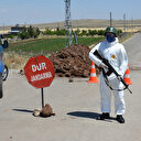 İçişleri Bakanlığı son rakamları açıkladı: 66 ilde 578 yerleşim yeri karantinada